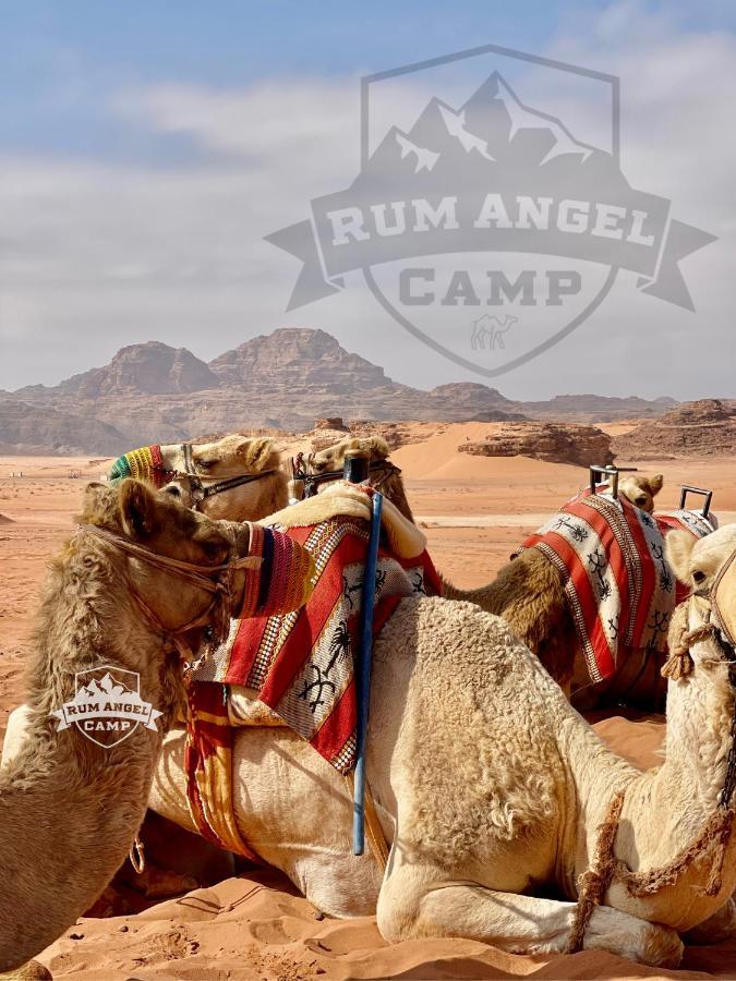 Rum Angel Camp Wadi Rum Exterior photo