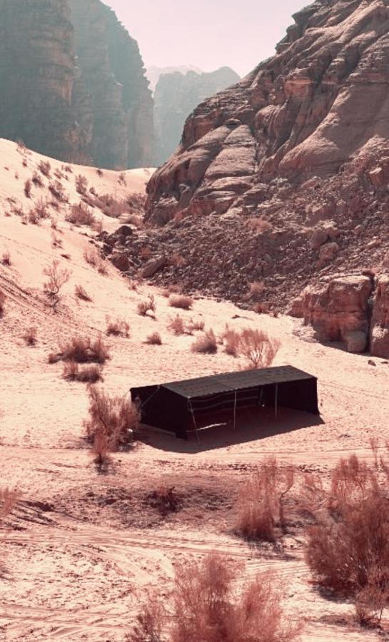 Rum Angel Camp Wadi Rum Exterior photo